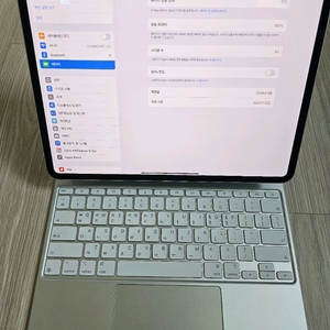 아이패드프로 m4 13 1TB 셀룰러 매직키보드 애펜