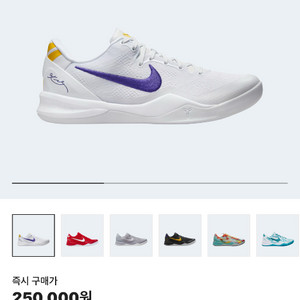 나이키 코비 8 프로트로 화이트 앤 코트 퍼플