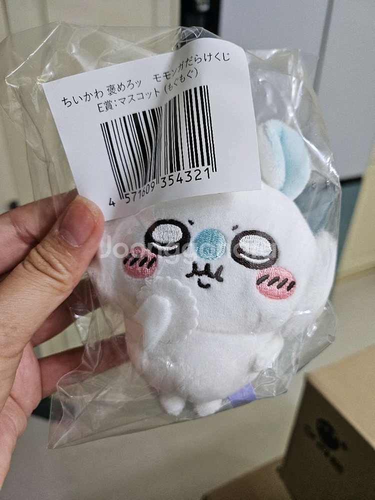 모몽가 쿠지 B상 날몽가 포함 10개--2