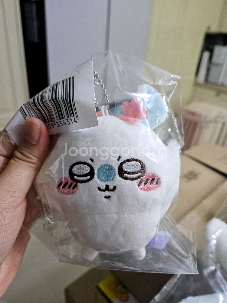 모몽가 쿠지 B상 날몽가 포함 10개--5