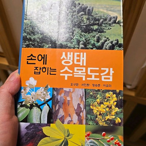 책 손에 잡히는 생태수목도감