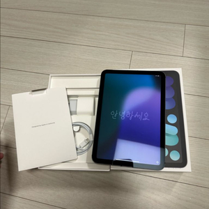 아이패드 미니6 256gb 셀룰러 스그 배터리 100