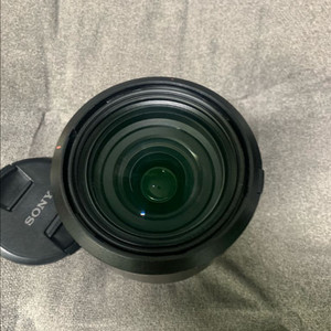 sony 2470gm