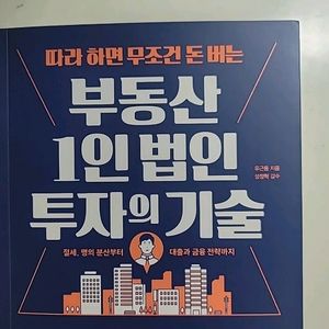 부동산 1인법인 투자의 기술