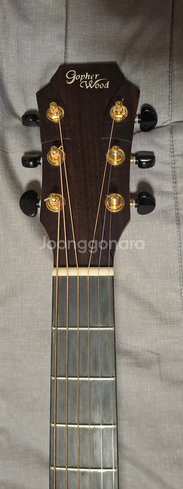 Gopherwood K830RCE 통기타 판매합니다!--2