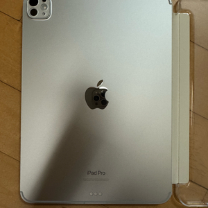 아이패드 프로 11 M4 256GB 셀룰러 실버 애캐플