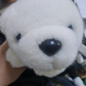 불쌍한 인형 팔아요