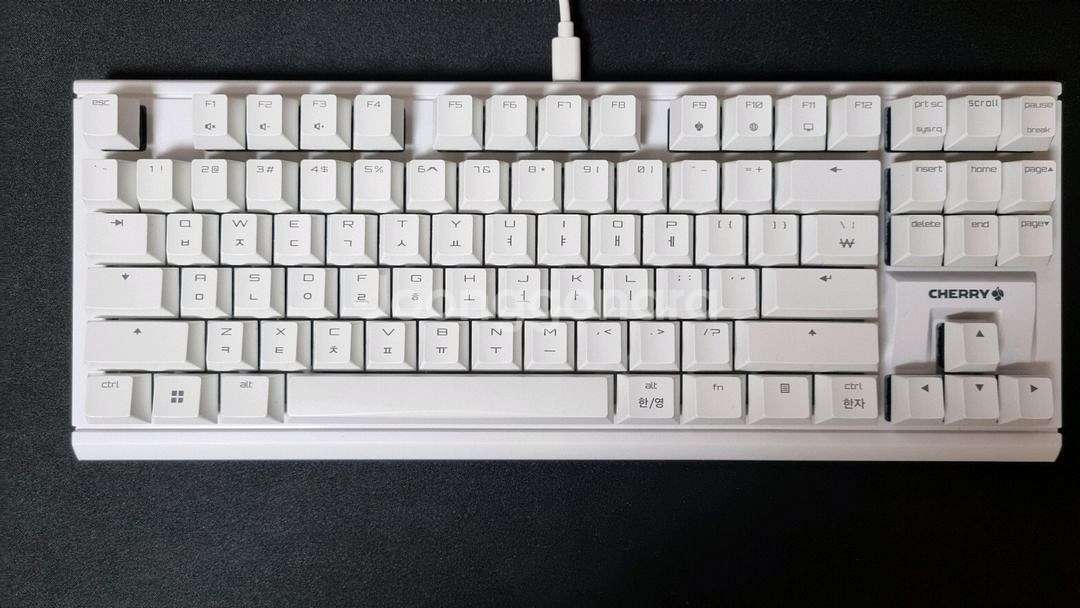 체리 MX 1.1 TKL 갈축--0