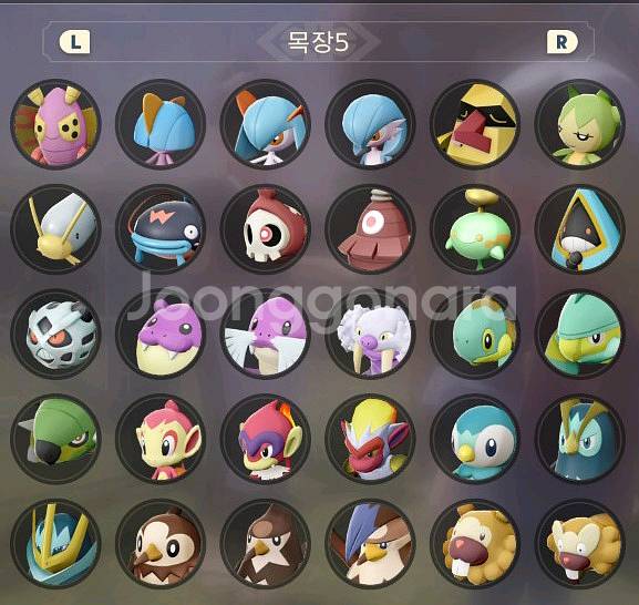 [레전드 아르세우스] 포켓몬스터 컴플리트 도감 우두머리--4