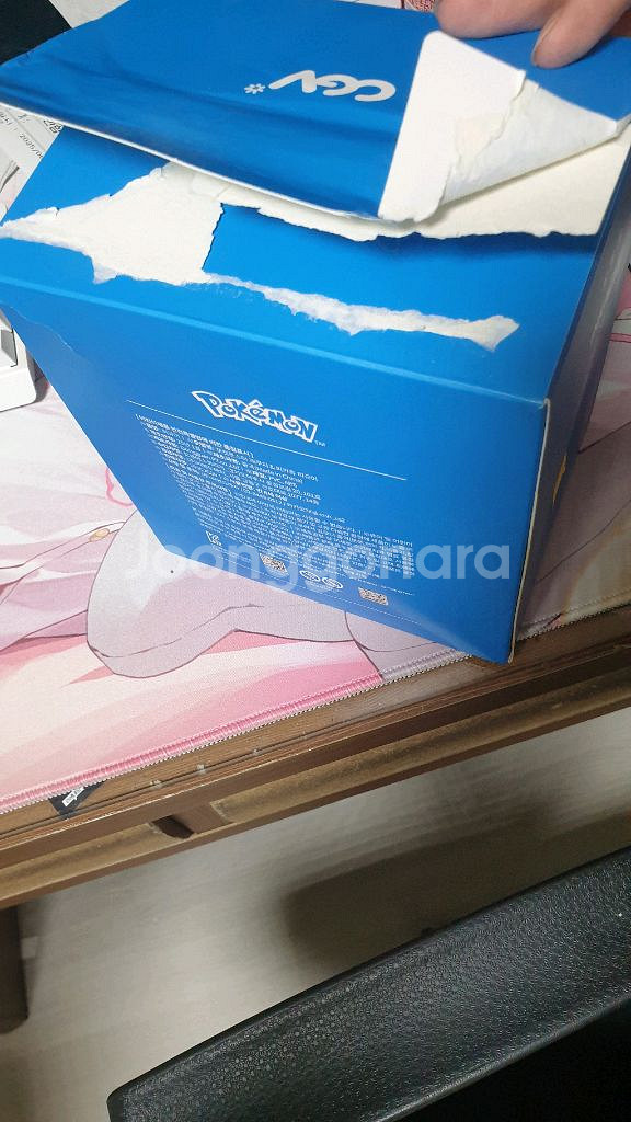 포켓몬 레쿠쟈&피카츄 피규어--2