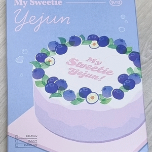 (이번달까지만)플레이브 PLAVE 의류 굿즈, 생일키트