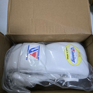 위닝 ㅉ