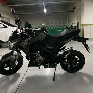16가와사키 z126