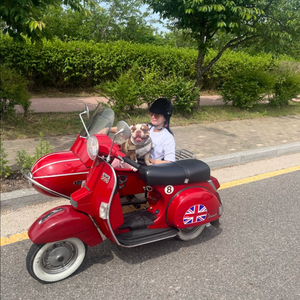 LML 스타디럭스125+사이드카
