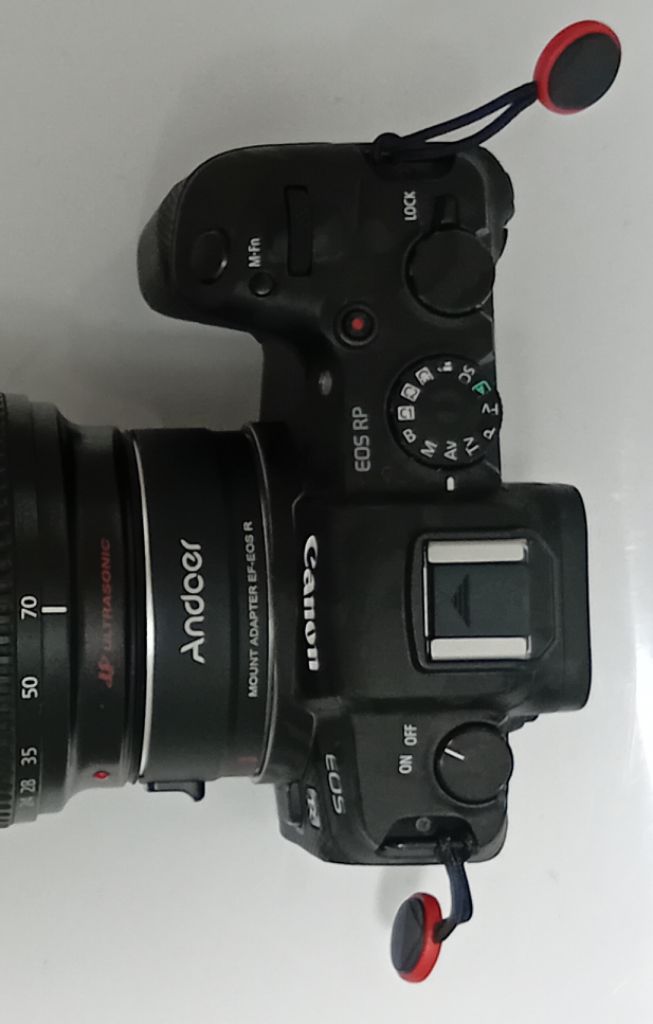 profile-image