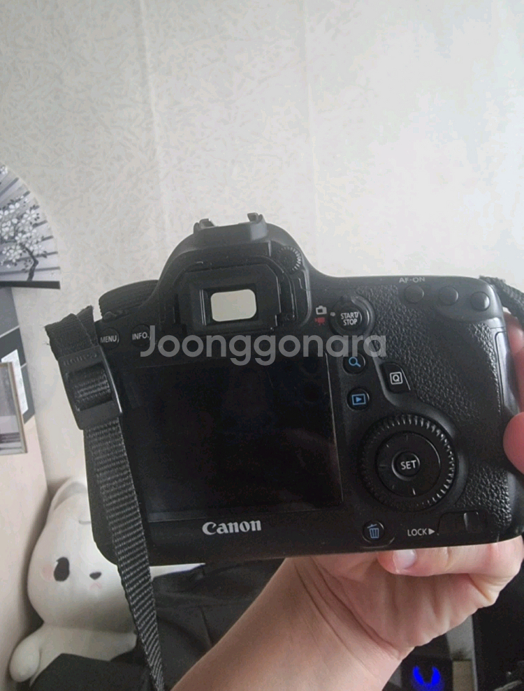 캐논 eos 6d 풀프레임 카메라--1