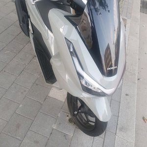 pcx125 25년식 1000키로 신차급