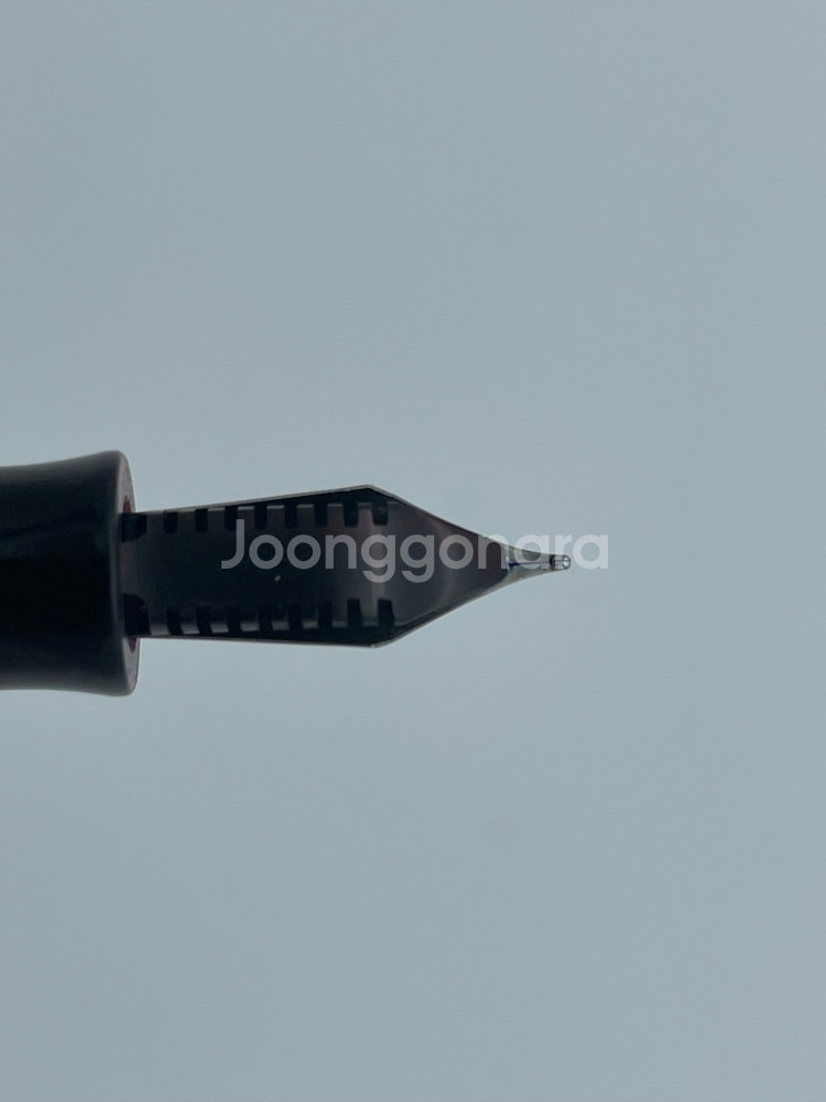 파카 만년필 파케트 그린 마블 스틸 F닙--5