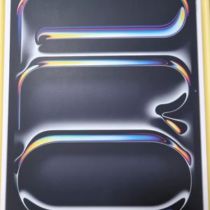iPad Pro13(M4)512GB 셀룰러 새상품