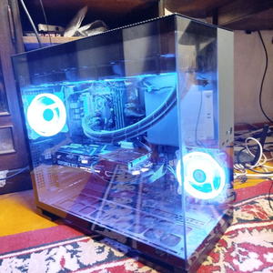라이젠 9600x 64gb 1tb nvme 4tb rt