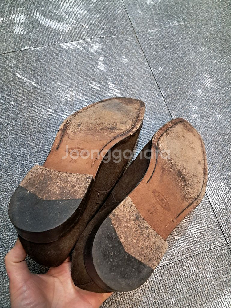 TODS 스웨이드 남성 구두 브라운--4