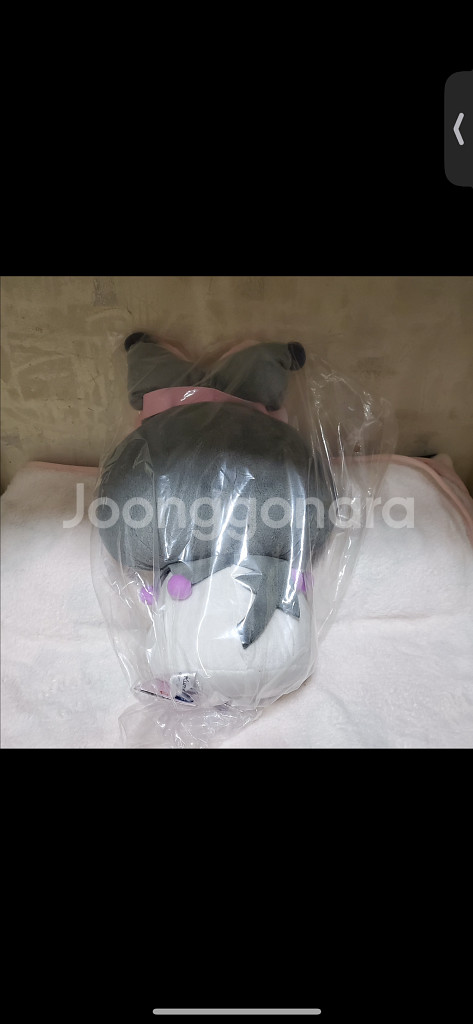 일본정품-산리오 쿠로미 인형--1