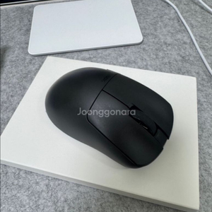 펄사 Xlite v3 large 펄브삼라지