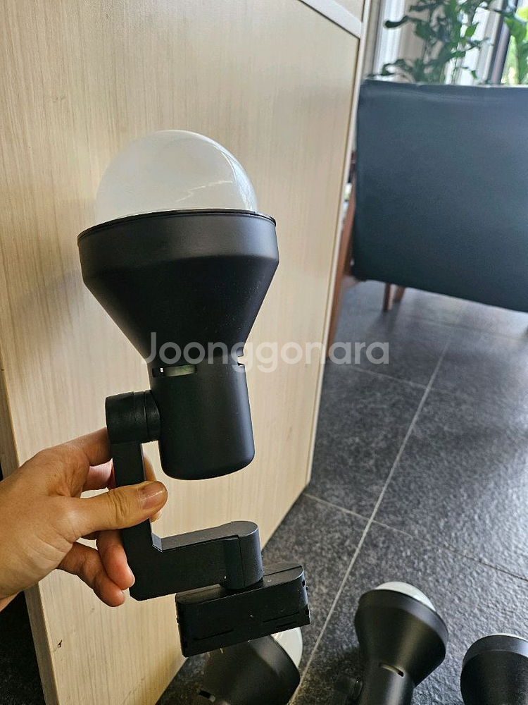 조명--1