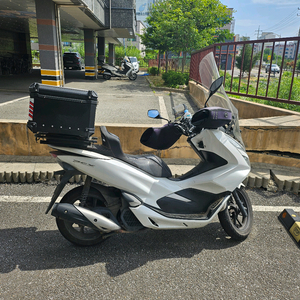 pcx125 20년식 화이트