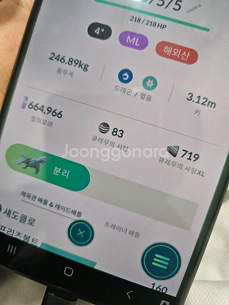 포켓몬고 고 페스티벌 자시안 자마젠타 레이드 대리--0