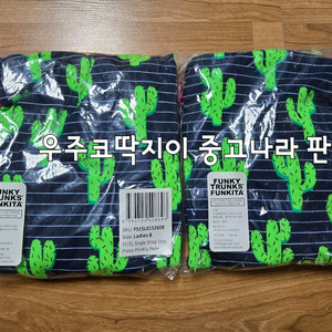 펑키타 선인장 우8
