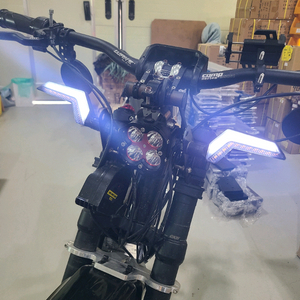 고빠 고성능 전기자전거 자토바이 Risun motor