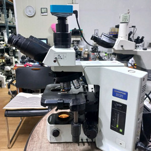 올림프스 BX51 3안CCD 현미경 대여렌탈