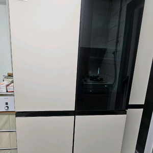 LG 디오스 오브제컬렉션 870리터 이전설치포함