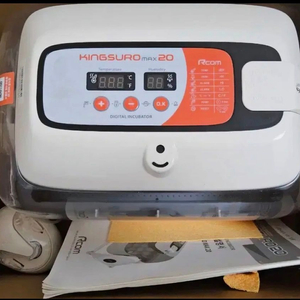 부화기 알콤 킹수로 max 20+백봉오골계 유정란