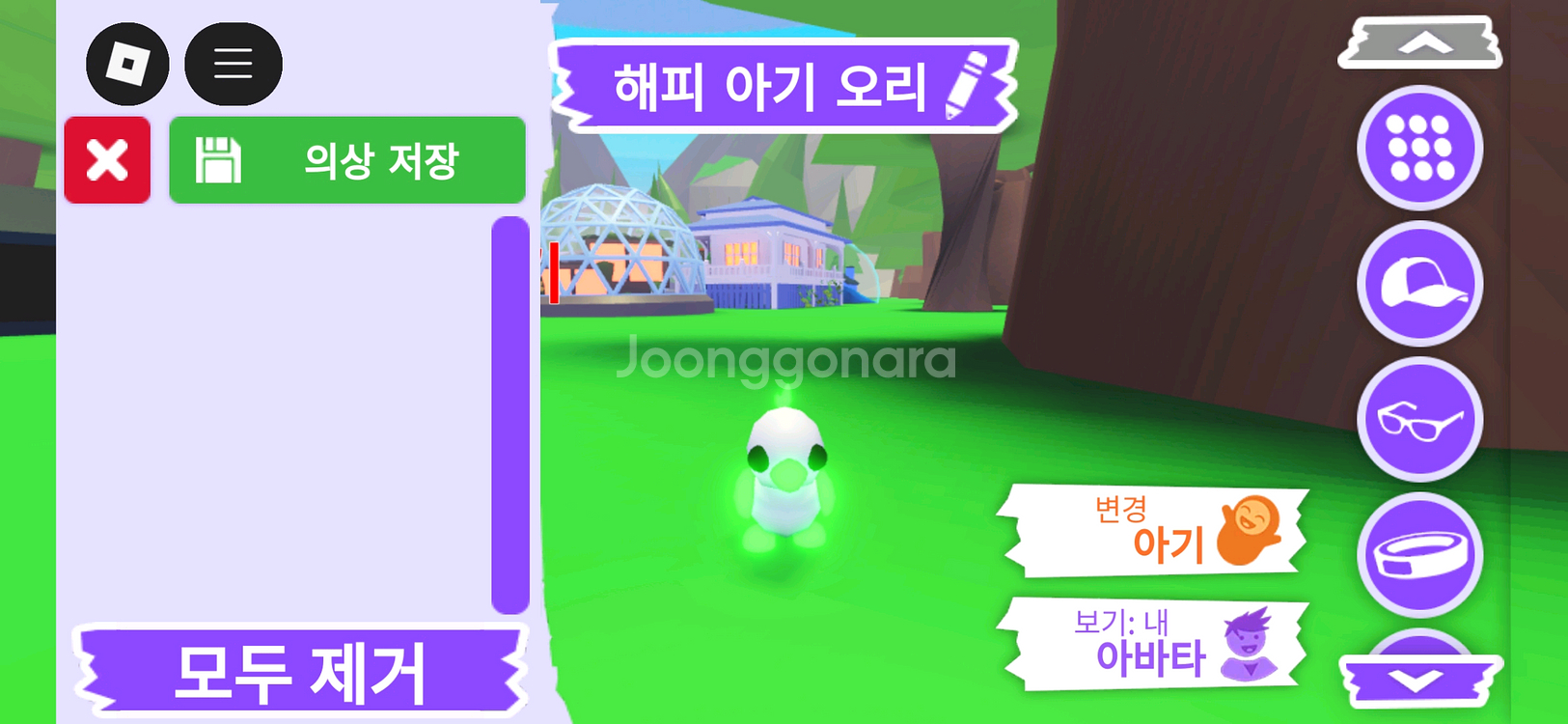 입양하세요 펫 메가네온 무능 해피 아기 오리 판매합니다--0