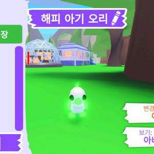 입양하세요 펫 메가네온 무능 해피 아기 오리 판매합니다