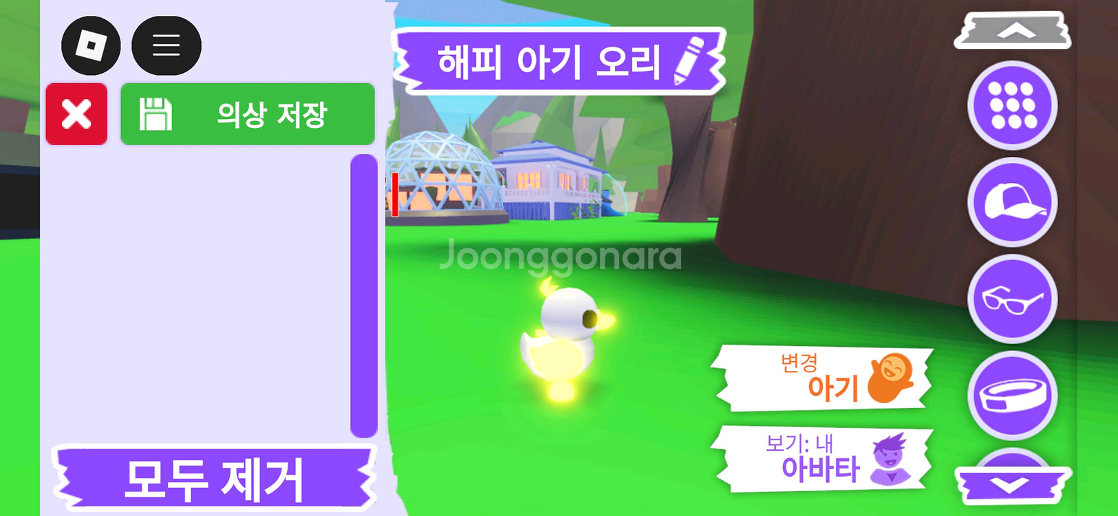 입양하세요 펫 메가네온 무능 해피 아기 오리 판매합니다--4