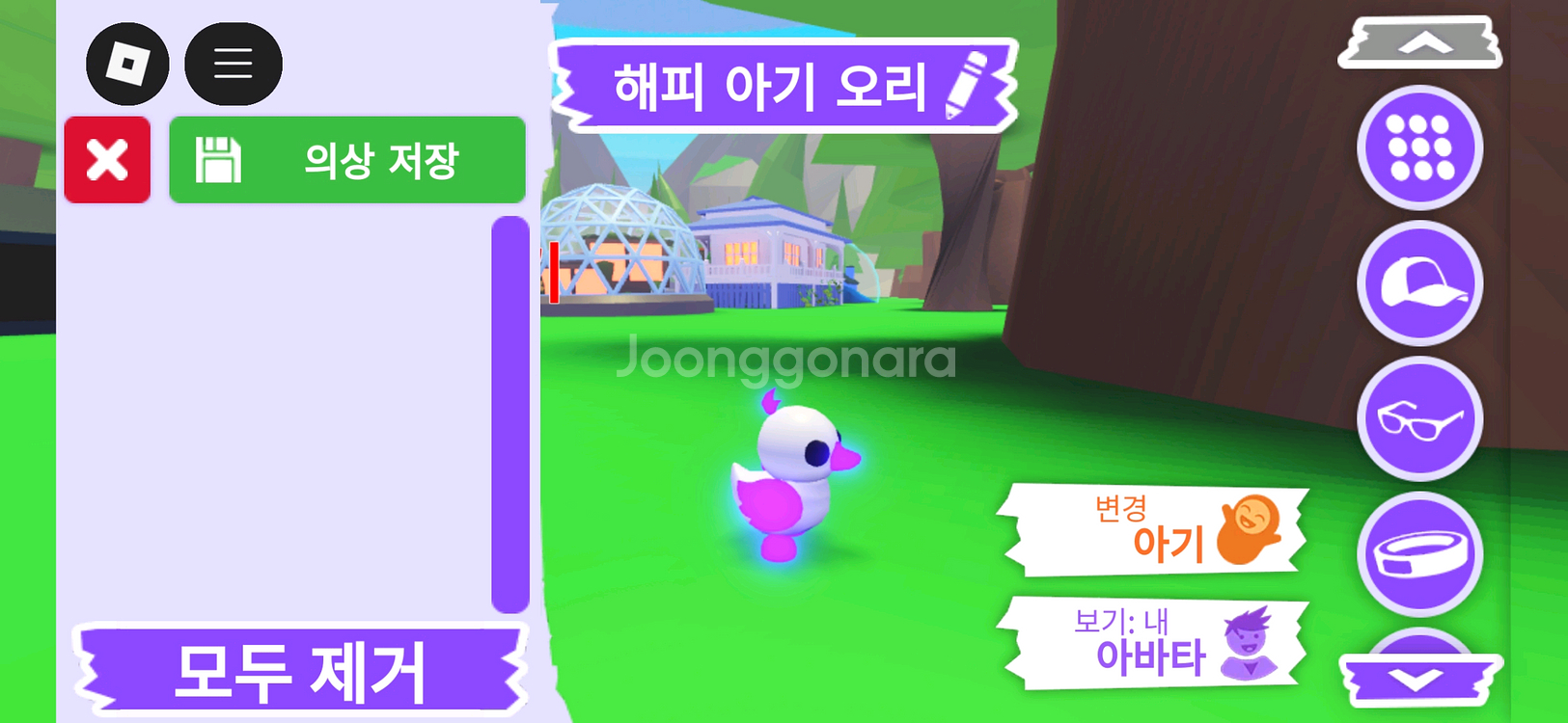 입양하세요 펫 메가네온 무능 해피 아기 오리 판매합니다--1