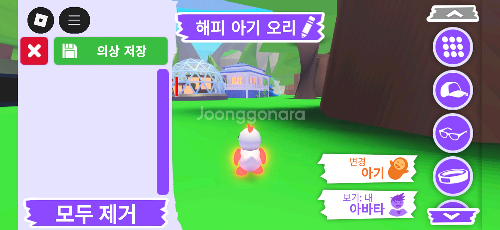 입양하세요 펫 메가네온 무능 해피 아기 오리 판매합니다--3