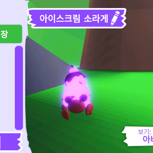 입양하세요 펫 메가네온 아이스크림 소라게 판매합니다