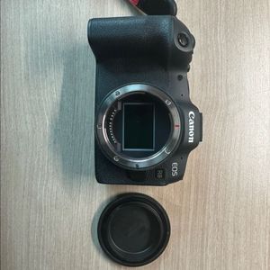캐논 r8