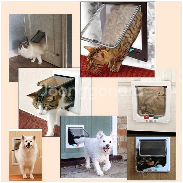 고양이, 강아지 양방향 도어 쪽문--2
