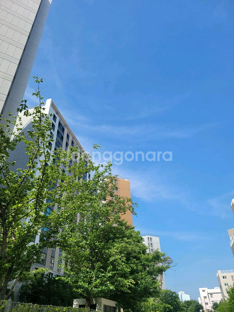 쿠팡결제삽니다~--0