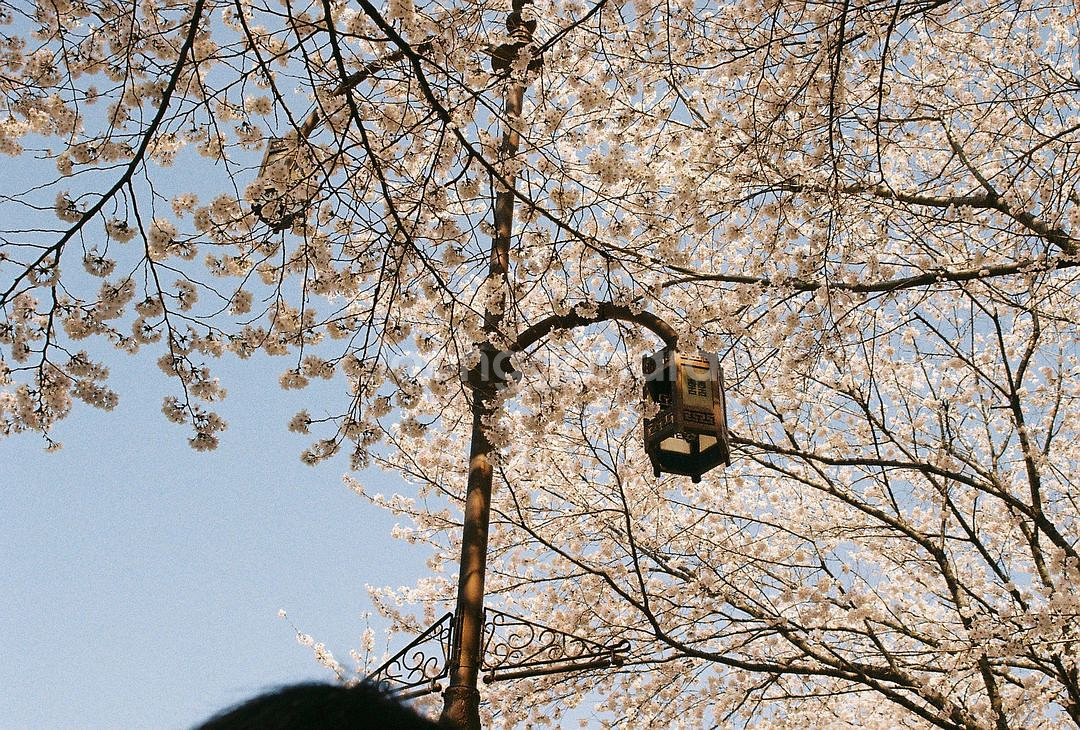 캐논 Canon EOS5 + EF 35-70mm--3