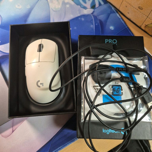 로지텍 G PRO SUPERLIGHT 지슈라