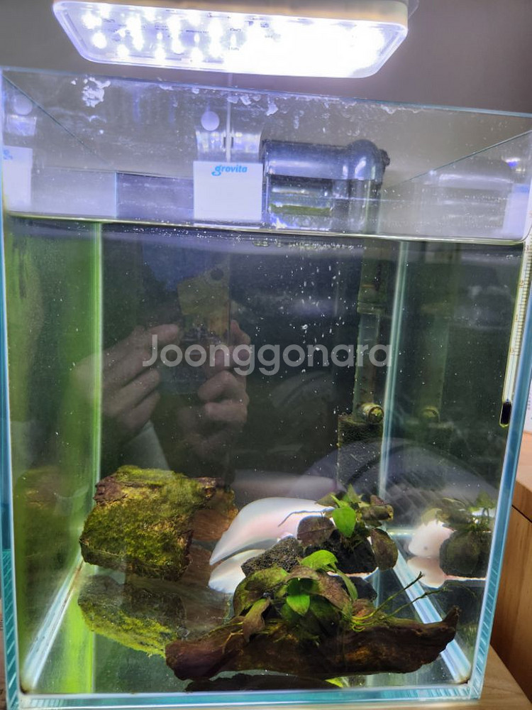 우파루파 아홀로틀 + 먹이--3