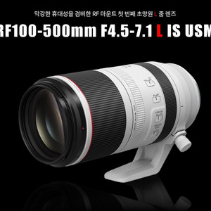 캐논 rf100-500 알백오 백오백 구매합니다