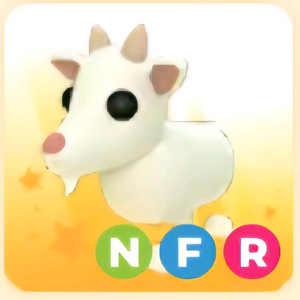 입양하세요 NFR 염소