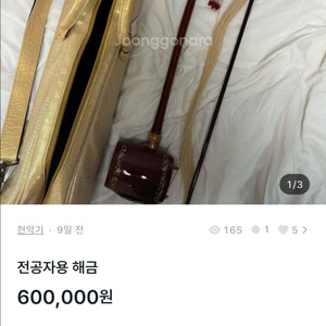 전공자용 해금